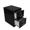 B3-Archivero-Filer-Metelico-2-Gavetas-Oficio-Color-Negro-ARCMJ-2GO-NE-Frente-Abierto.jpg